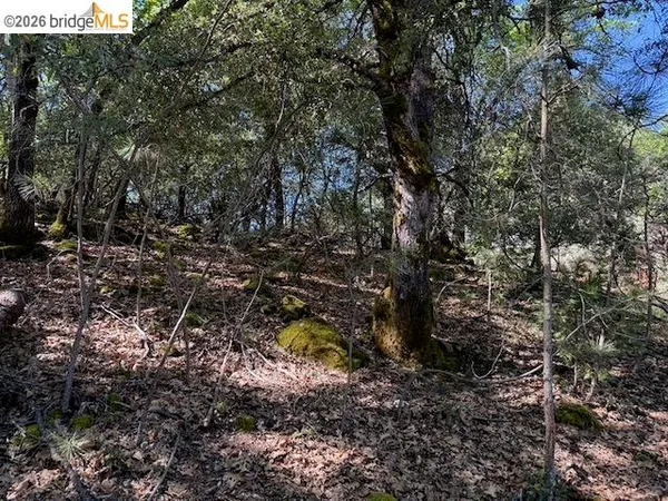 $40,000 | 21344 Green Meadow Lane, Sonora, CA 95370