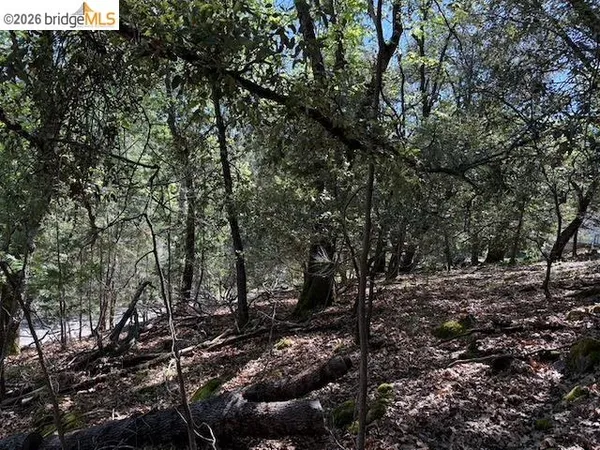 $40,000 | 21344 Green Meadow Lane, Sonora, CA 95370