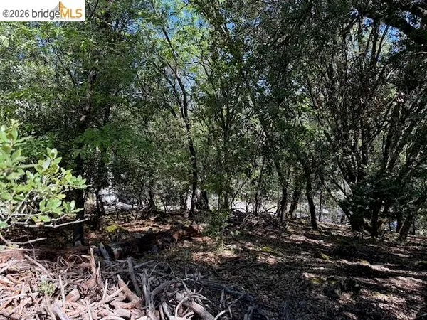 $40,000 | 21344 Green Meadow Lane, Sonora, CA 95370