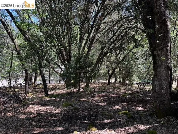$40,000 | 21344 Green Meadow Lane, Sonora, CA 95370