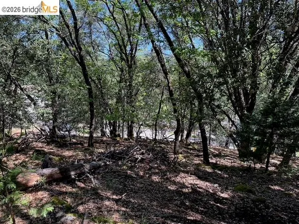 $40,000 | 21344 Green Meadow Lane, Sonora, CA 95370