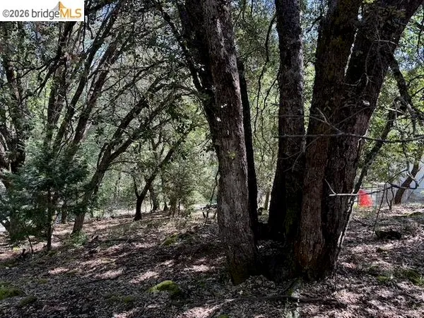 $40,000 | 21344 Green Meadow Lane, Sonora, CA 95370