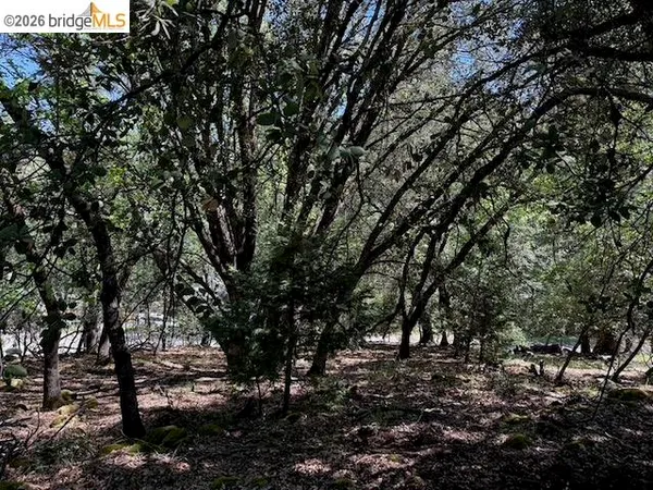 $40,000 | 21344 Green Meadow Lane, Sonora, CA 95370