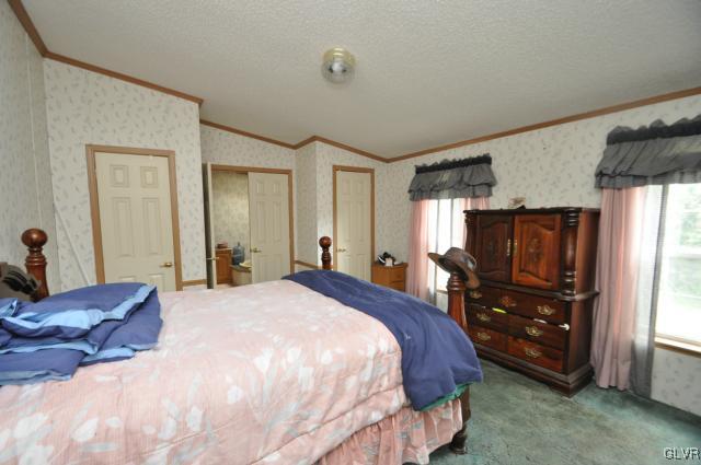 406 Levis Road Nazareth, PA 18064 - Photo 13 of 21 a bedroom with a bed and a closet