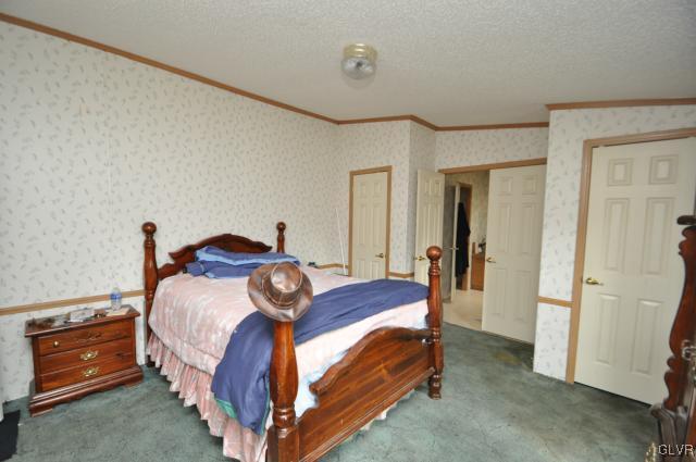 406 Levis Road Nazareth, PA 18064 - Photo 14 of 21 a bedroom with a bed and a closet