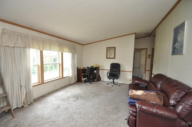406 Levis Road Nazareth, PA 18064 - Photo 5 of 21 a living room with furniture and a large window