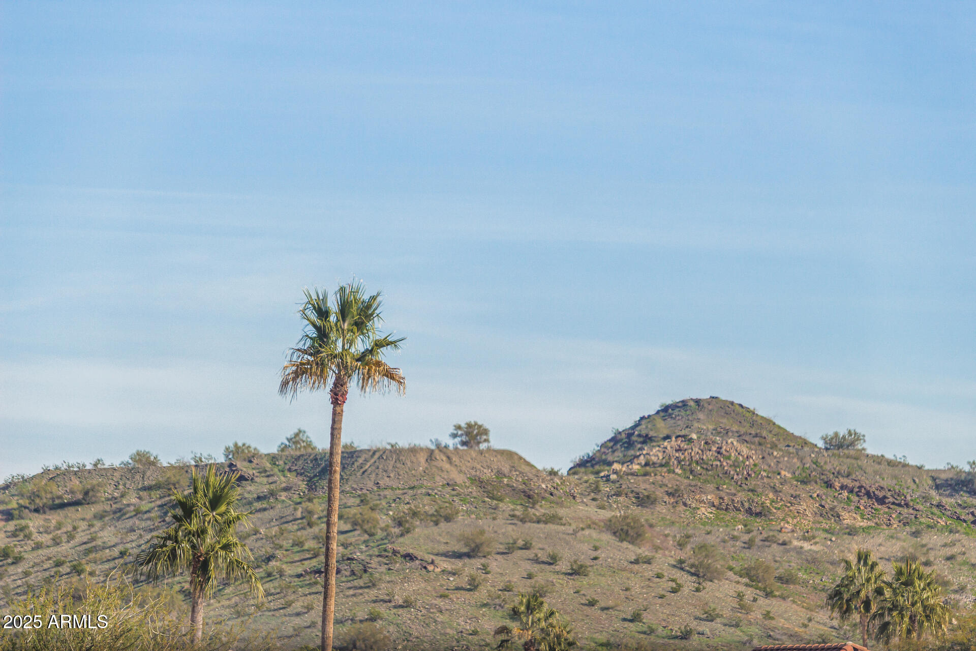 1347 East Redwood Lane Phoenix, AZ 85048 - Photo 13 of 47 47 Redwood