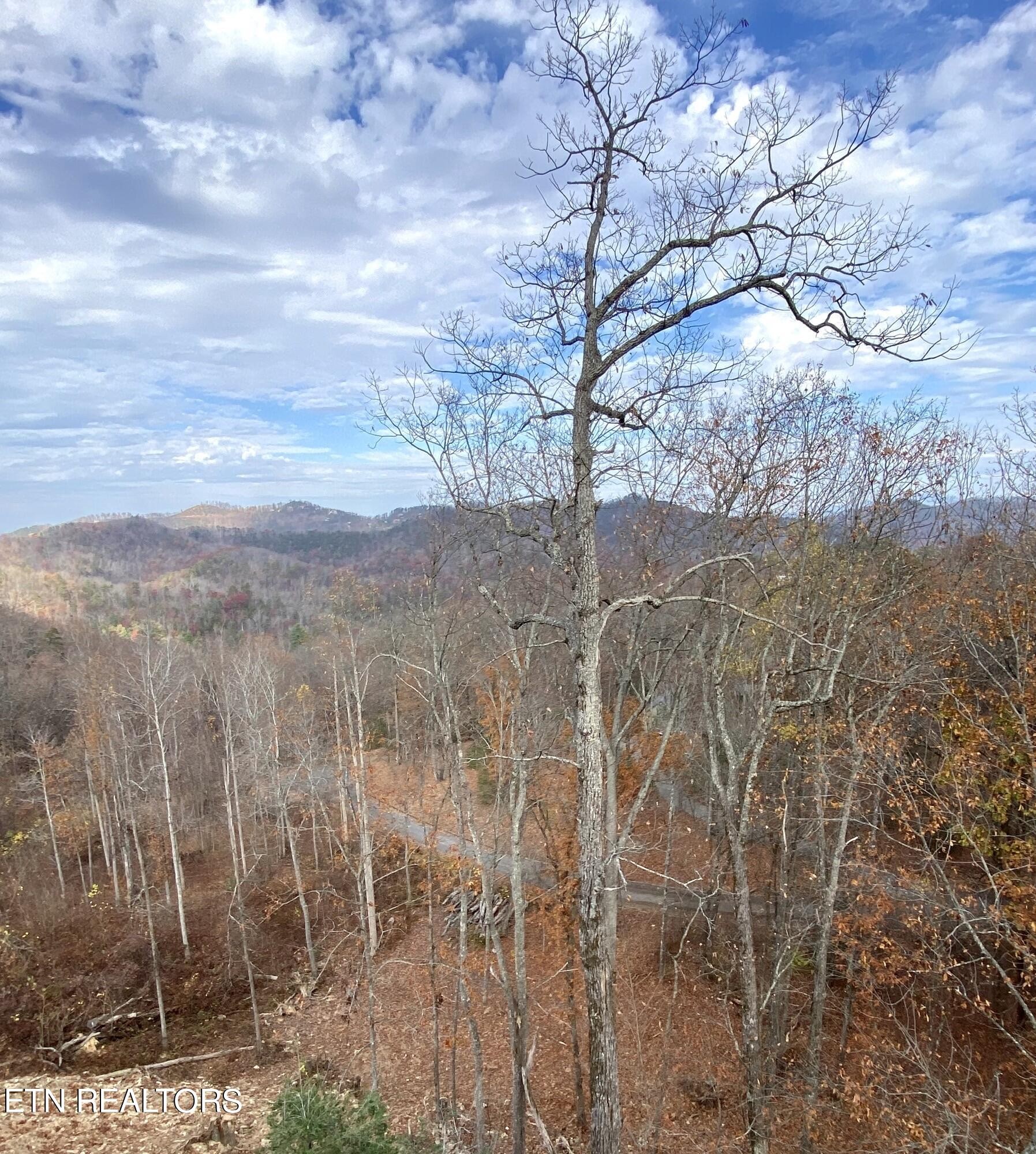 2670 Cloud View Drive Sevierville, TN 37862 - Photo 24 of 47 a view of a yard with a tree