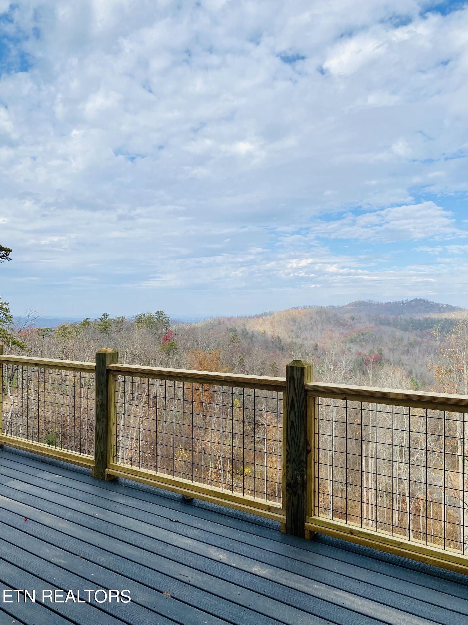 2670 Cloud View Drive Sevierville, TN 37862 - Photo 29 of 47