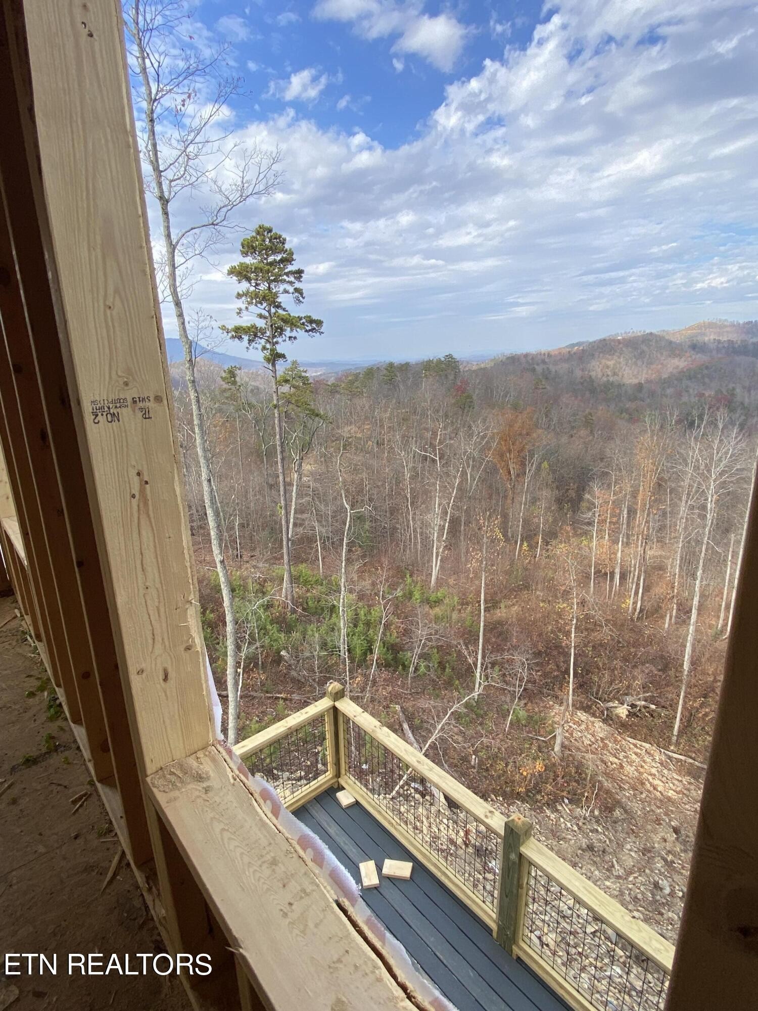 2670 Cloud View Drive Sevierville, TN 37862 - Photo 33 of 47 a view of balcony with a potted plant