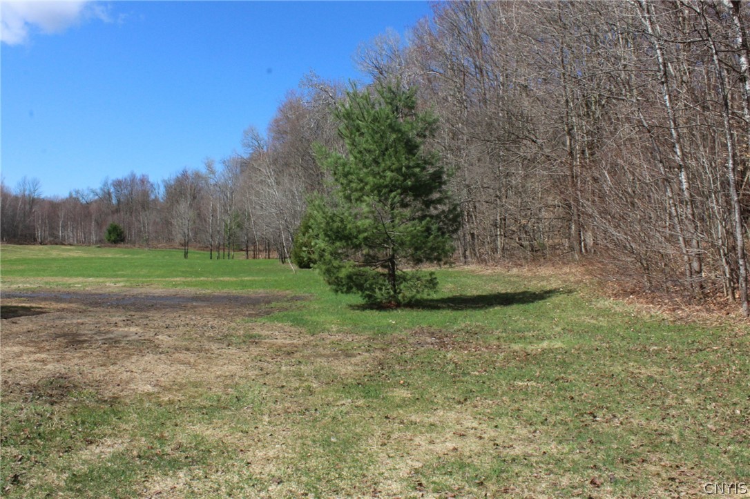 4571 Yorkland Road Annsville, NY 13471 - Photo 43 of 49