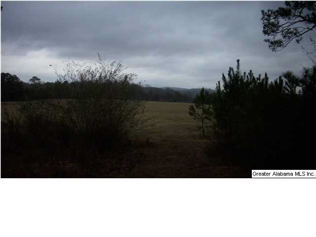 Peaceful Valley Road, Unit 38 5 Eastaboga, AL 36260 - Photo 3 of 11