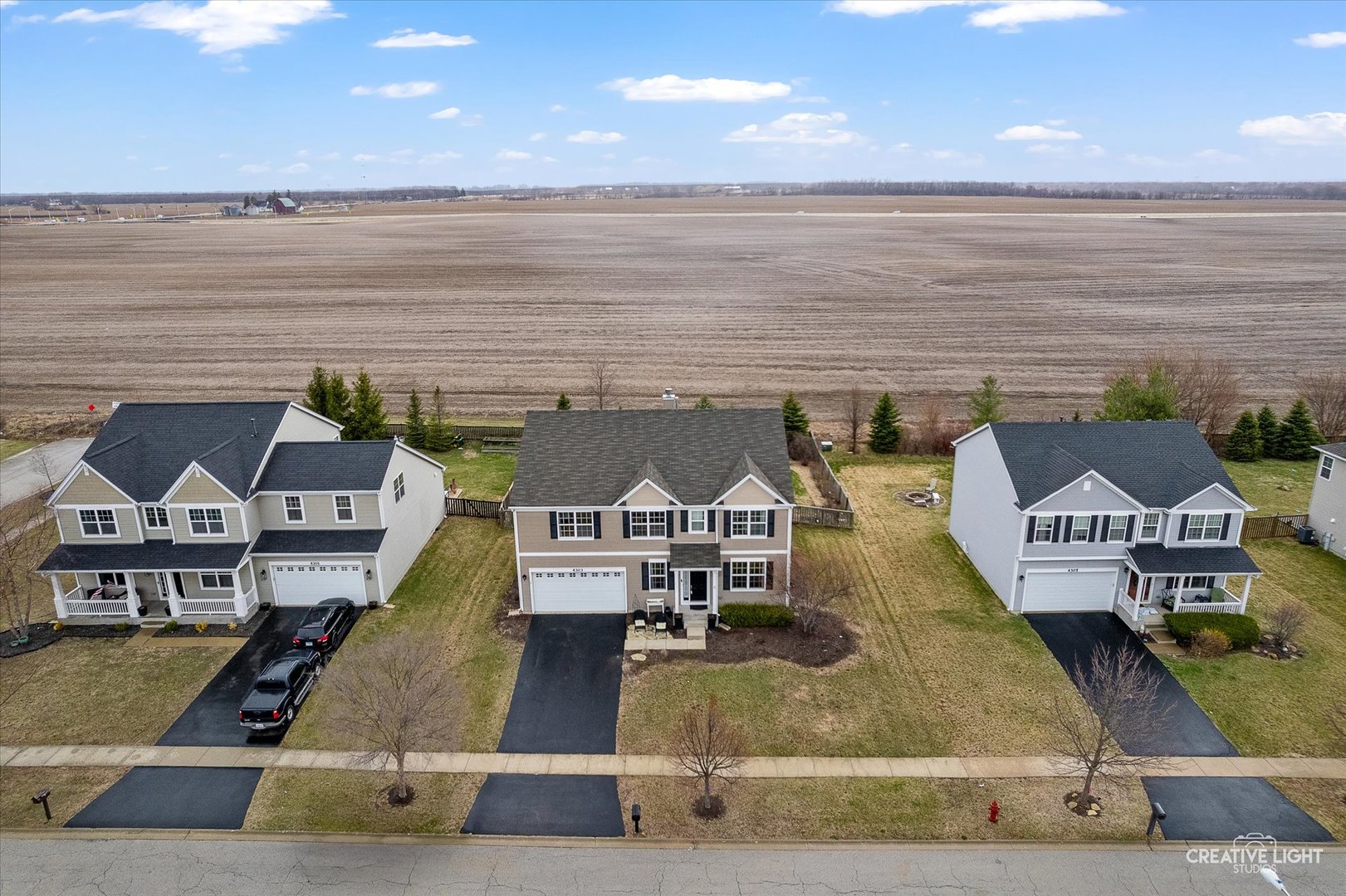 4303 Schofield Drive Oswego, IL 60543 - Photo 4 of 44