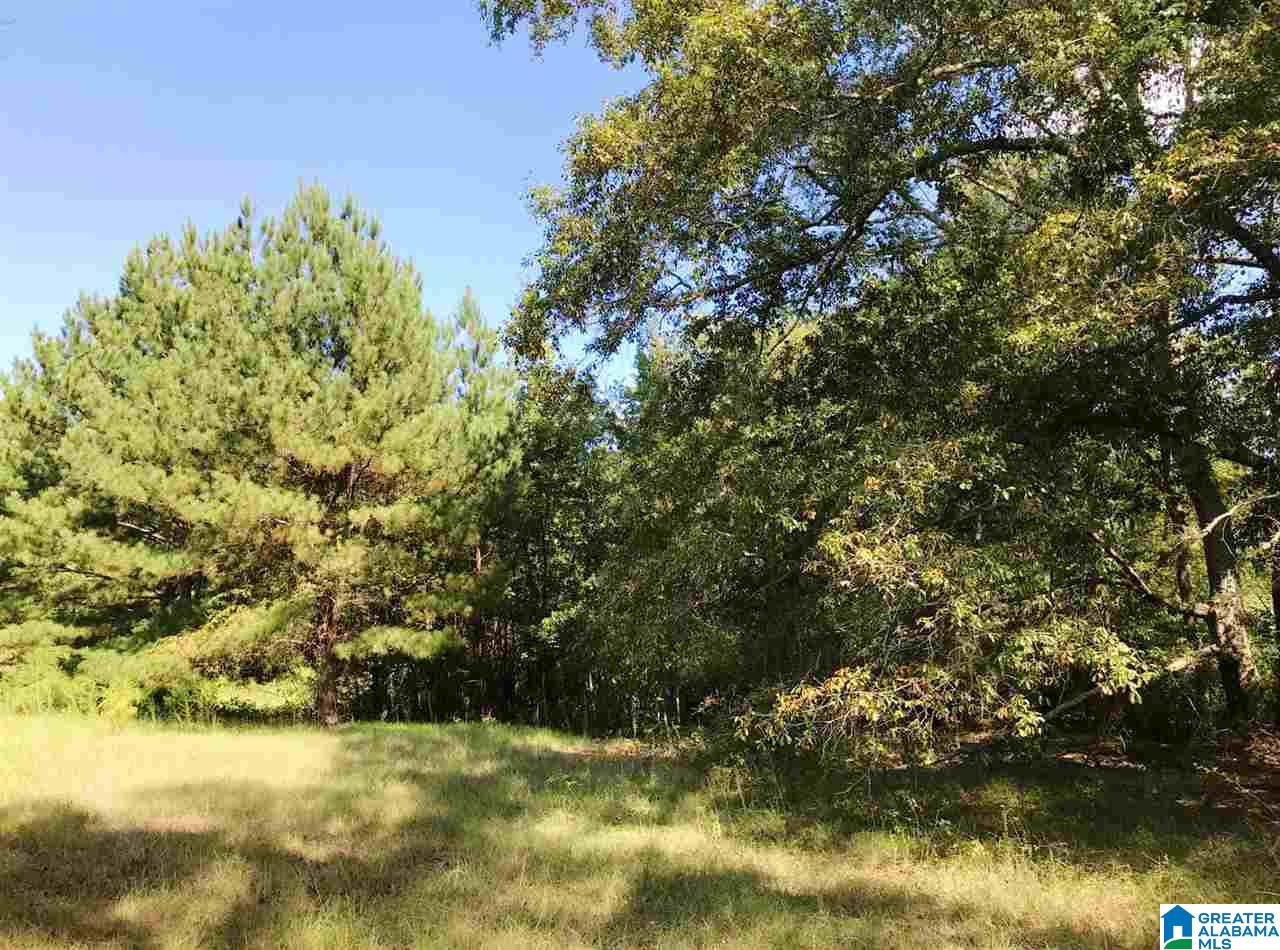 1525 Chelsea Road, Unit 1525 Columbiana, AL 35051 - Photo 9 of 33