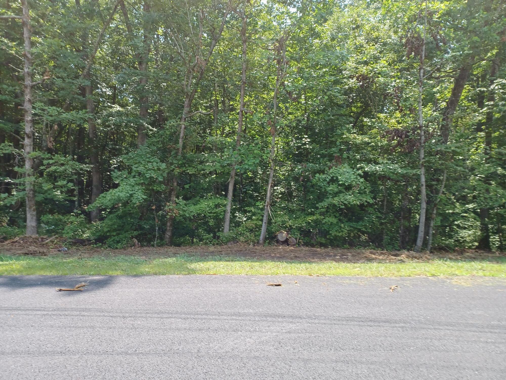 Sawmill Road Monterey, TN 38574 - Photo 1 of 5 saw mill 1