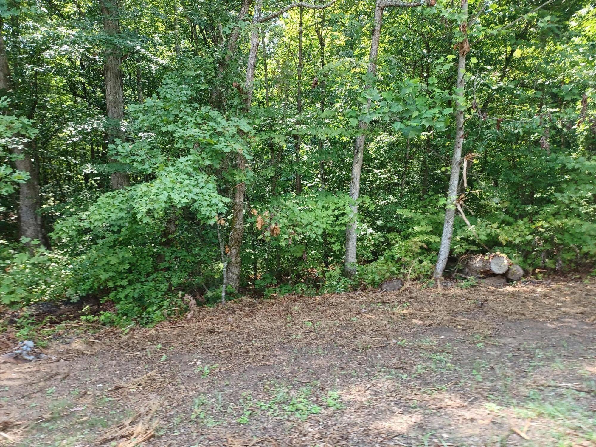 Sawmill Road Monterey, TN 38574 - Photo 3 of 5 saw mill 2