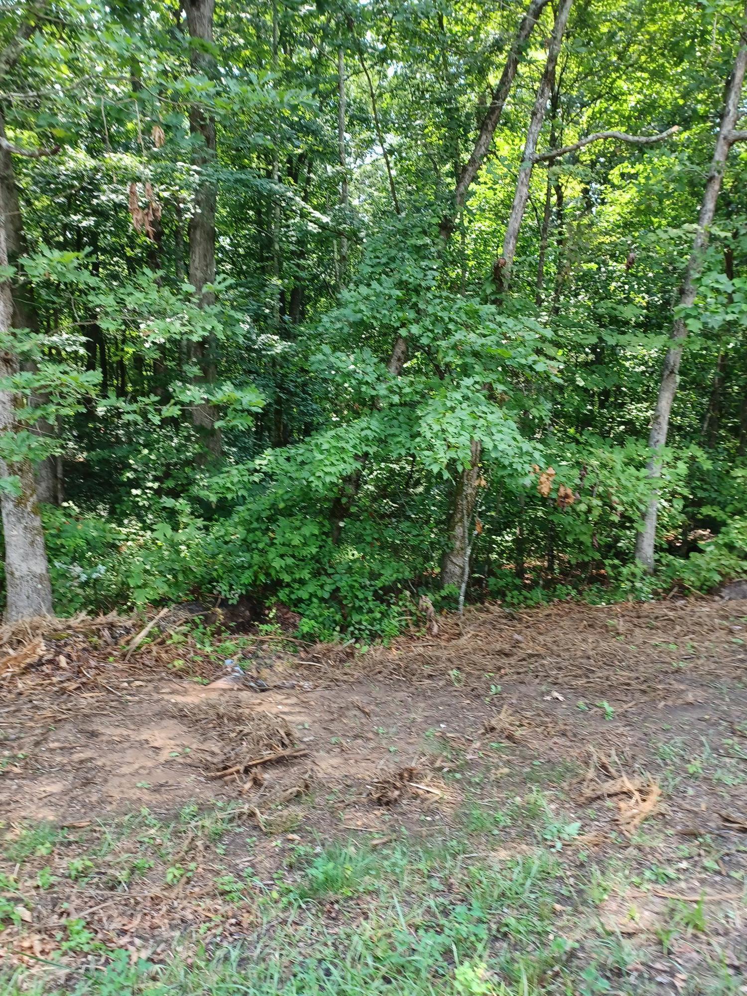 Sawmill Road Monterey, TN 38574 - Photo 4 of 5 saw mill 3