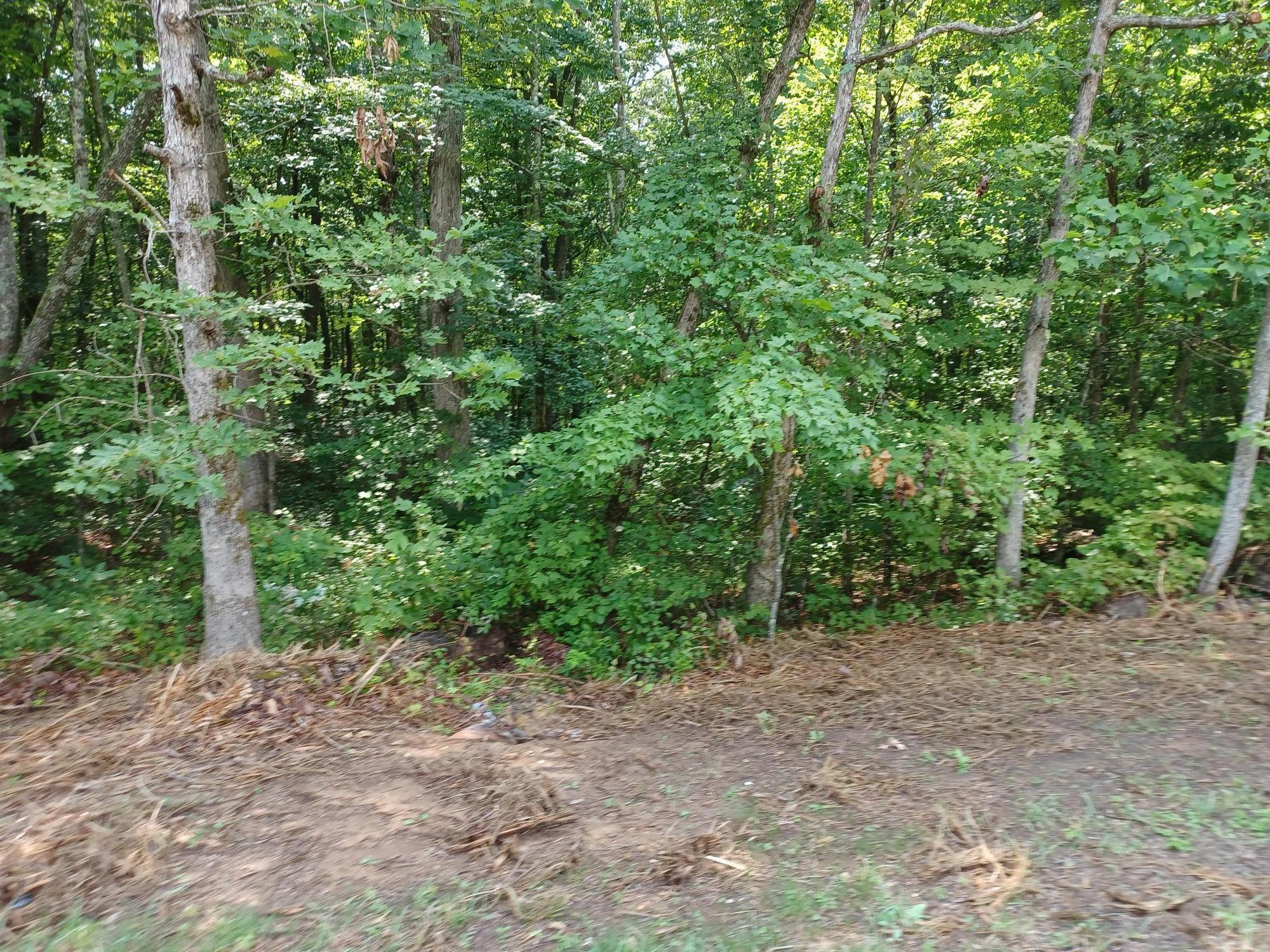 Sawmill Road Monterey, TN 38574 - Photo 5 of 5 saw mill 4