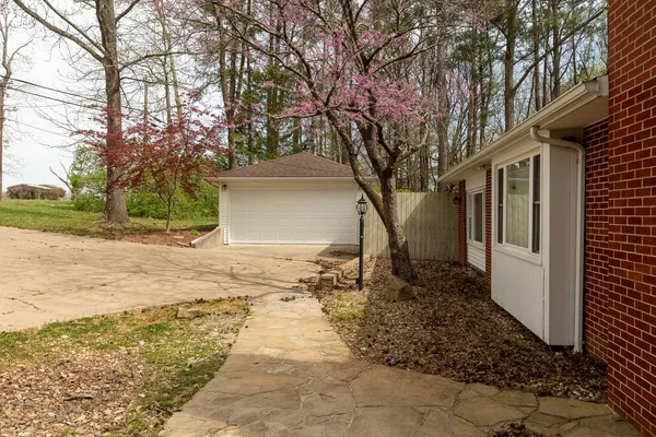 a view of a yard with plants and trees
