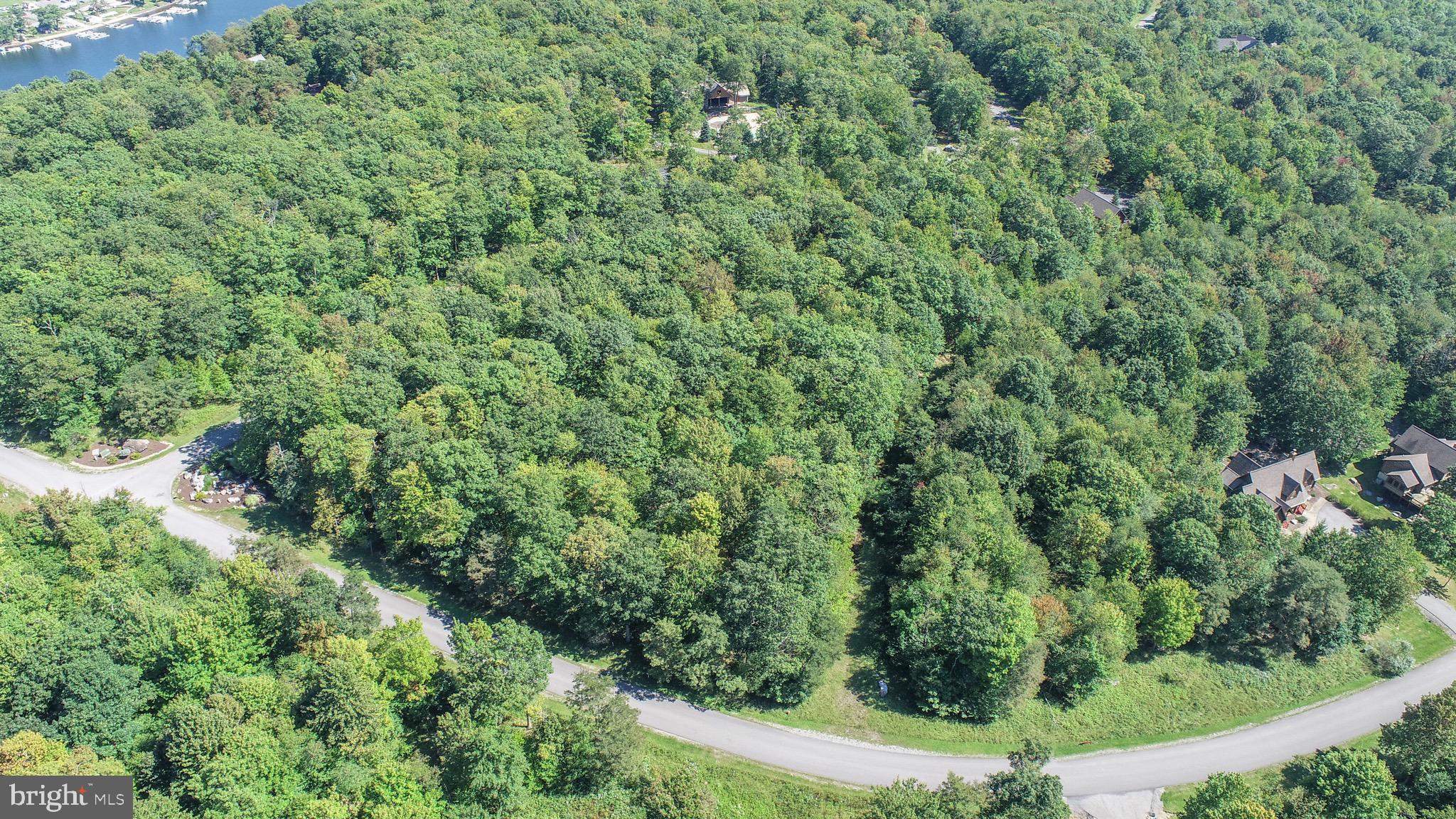 Lot 97 Mountaintop Road McHenry, MD 21541 - Photo 6 of 9 Gallery Image 6