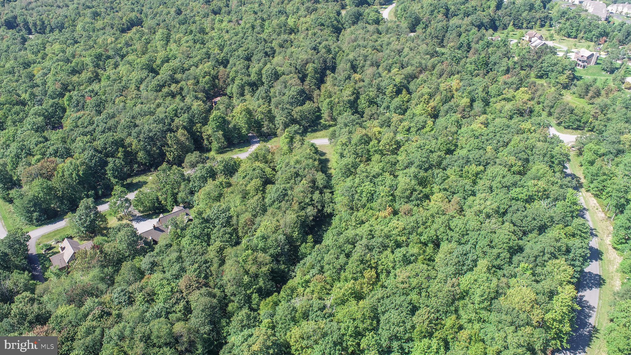 Lot 97 Mountaintop Road McHenry, MD 21541 - Photo 7 of 9 Gallery Image 7