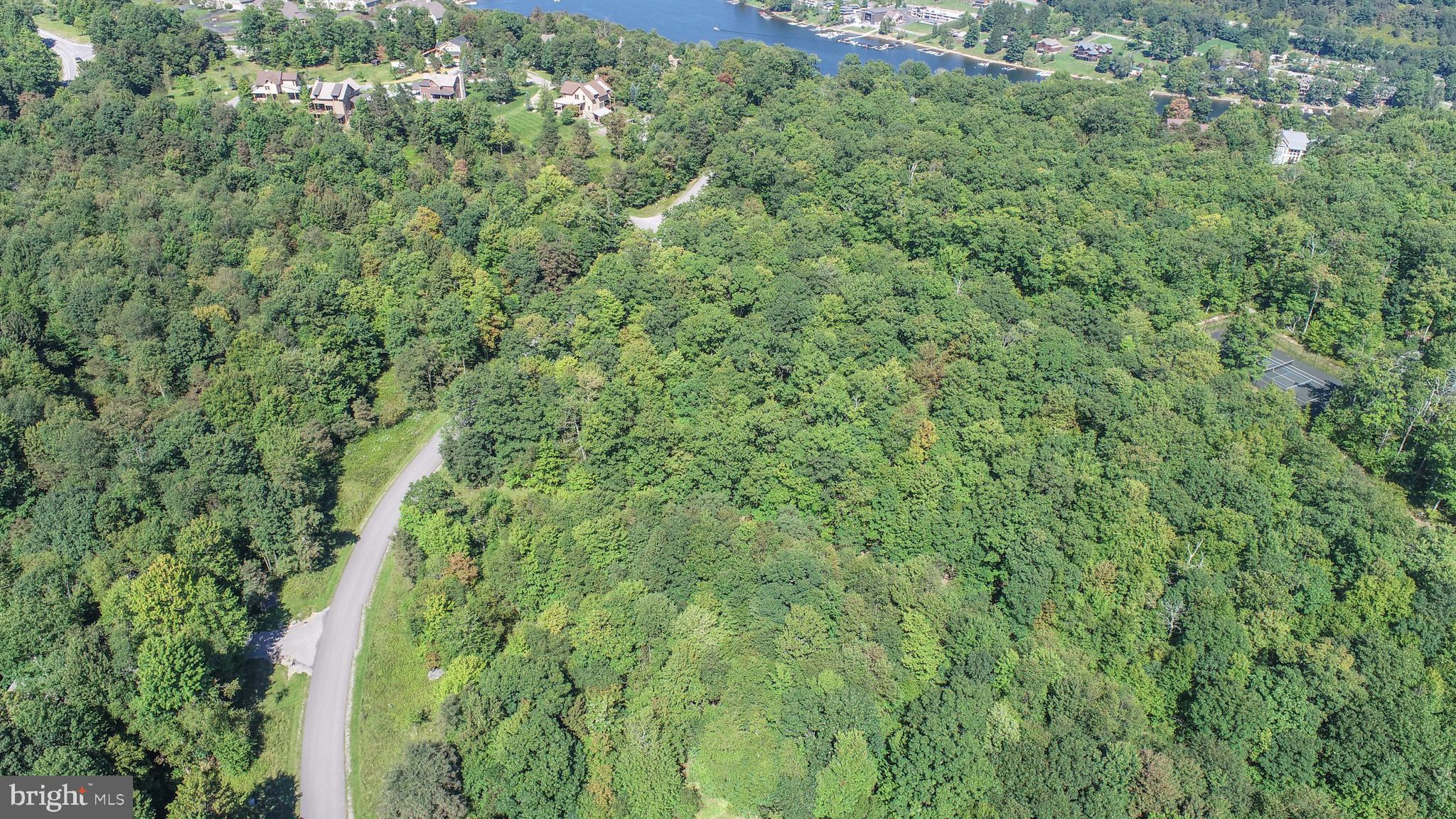 Lot 97 Mountaintop Road McHenry, MD 21541 - Photo 8 of 9 Gallery Image 8