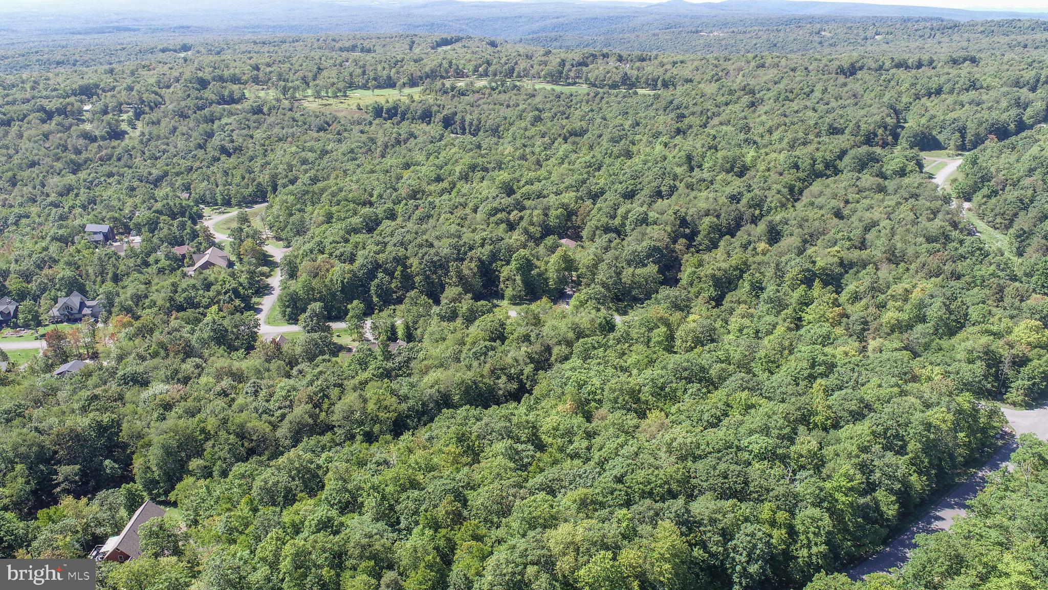Lot 97 Mountaintop Road McHenry, MD 21541 - Photo 9 of 9 Gallery Image 9