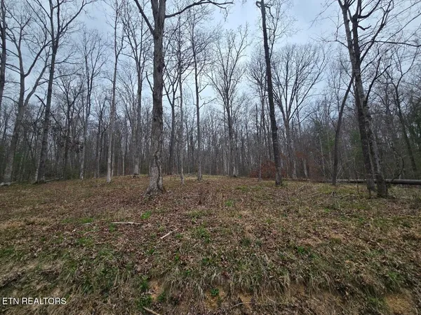 $69,900 | 0 Scott-fentress Co Line, Allardt, TN 38504