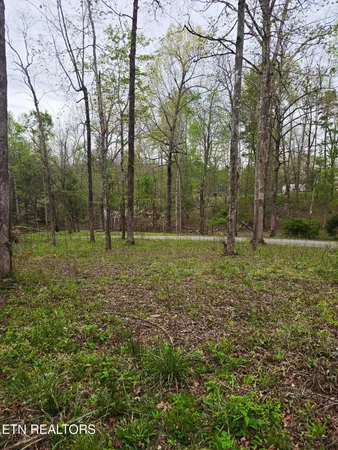 $69,900 | 0 Scott-fentress Co Line, Allardt, TN 38504