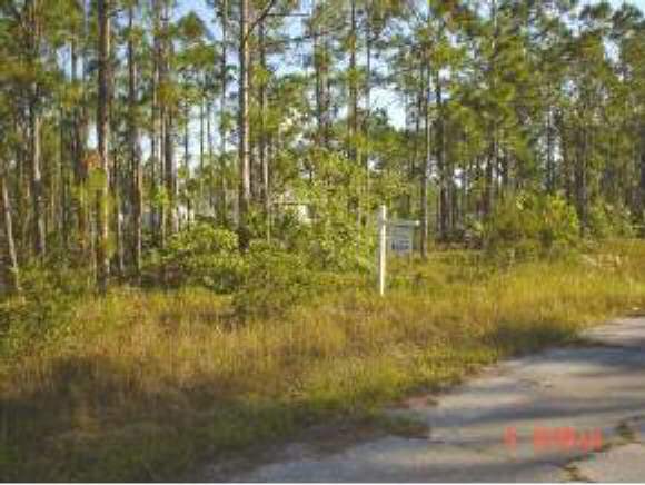 155 Southwest Labra Palm Bay, FL 32908 - Photo 1 of 3 Primary Photo