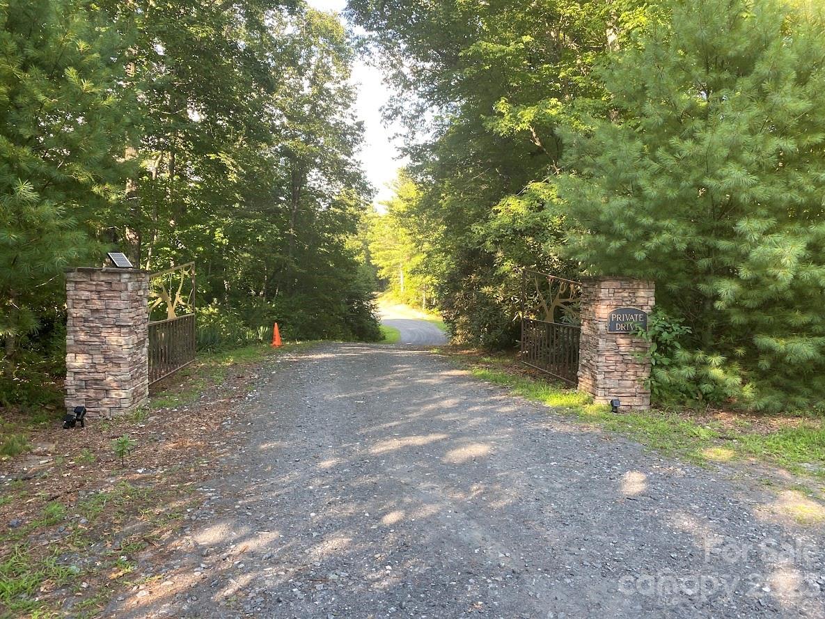 Lot # Pack Drive, Unit 3 Spruce Pine, NC 28777 - Photo 2 of 7 a view of a yard with plants and trees