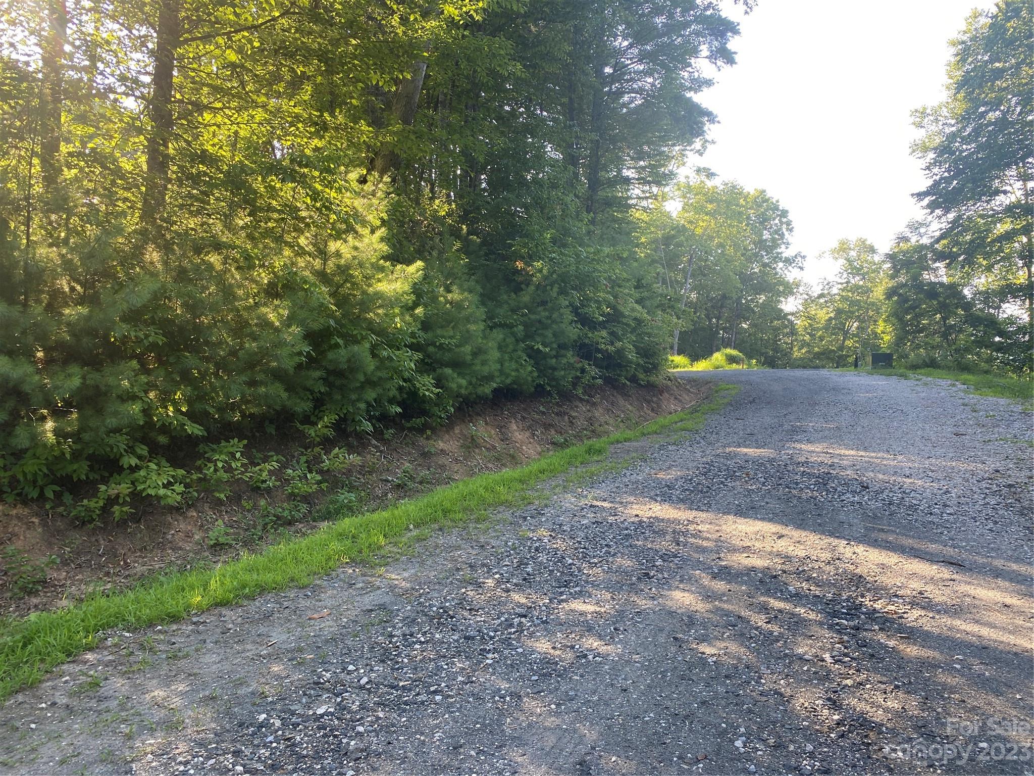 Lot # Pack Drive, Unit 3 Spruce Pine, NC 28777 - Photo 3 of 7 a view of a yard with a tree