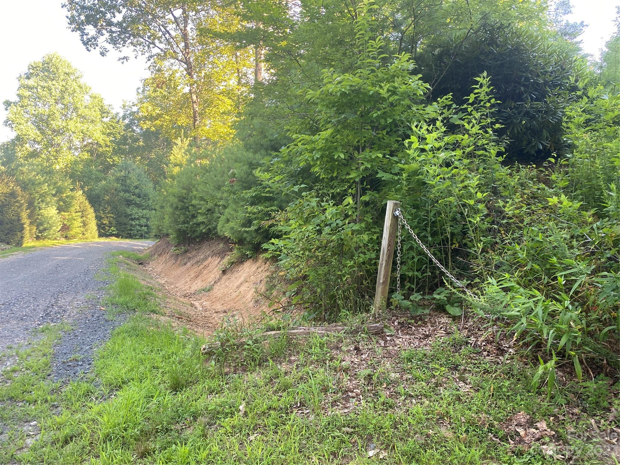 Lot # Pack Drive, Unit 3 Spruce Pine, NC 28777 - Photo 7 of 7 a green field with lots of bushes