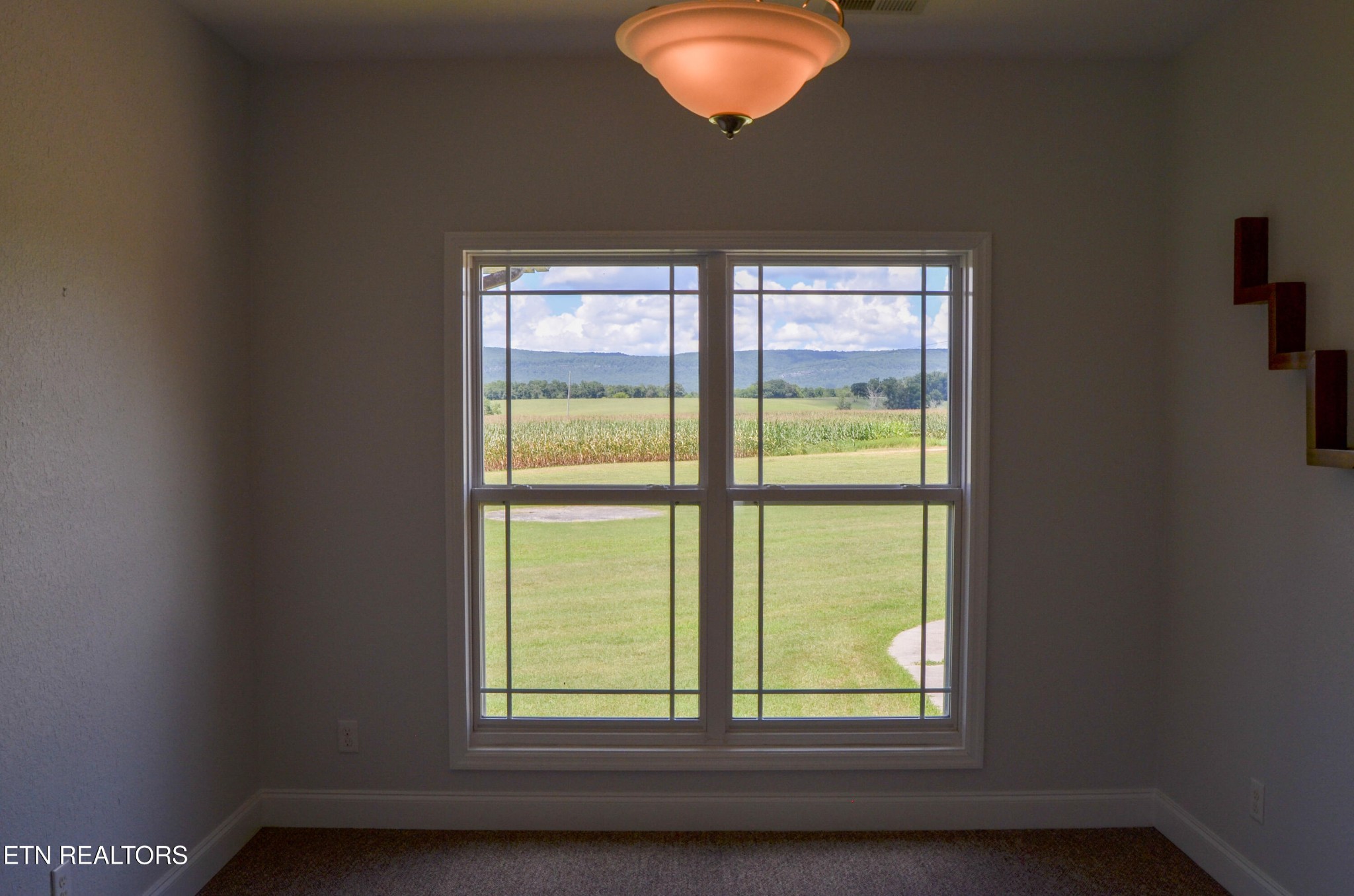 241 Terry Road Pikeville, TN 37367 - Photo 14 of 47