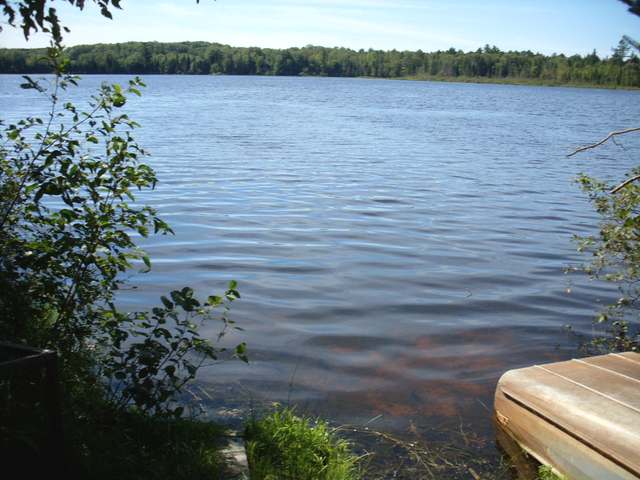 6019 North Boat Landing Road Land O'Lakes, WI 54540 - Photo 3 of 17 Gallery Image 3