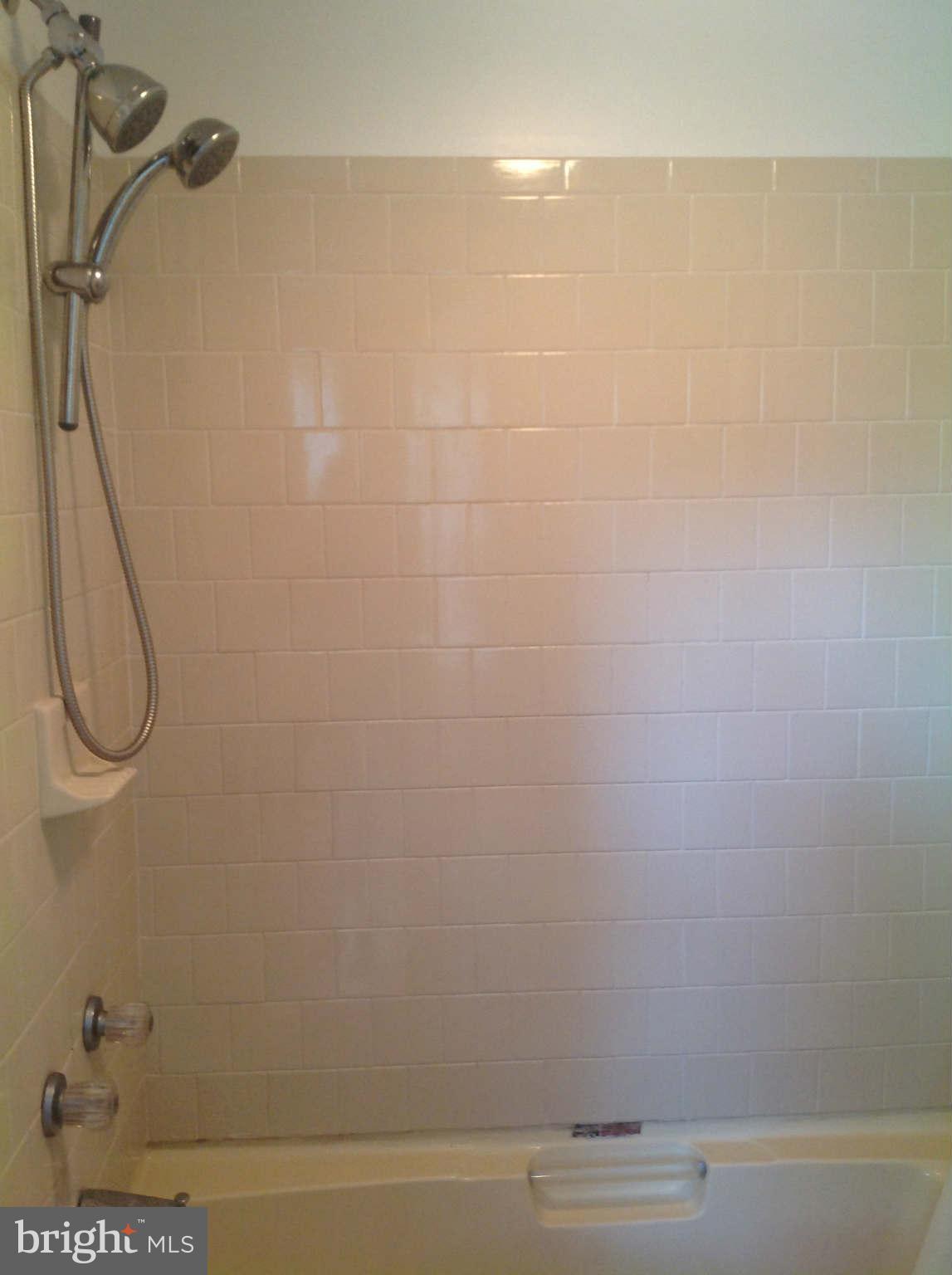 14535 Rock Point Road Newburg, MD 20664 - Photo 25 of 30 Bath (Master)