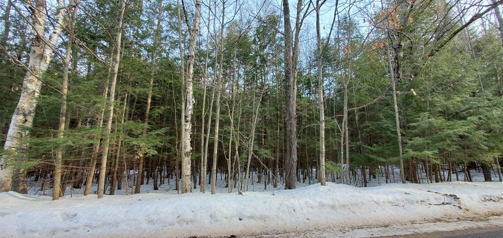 Three Leatzow Road, Unit 1 5 ACRES Three Lakes, WI 54562 - Photo 2 of 6 Gallery Image 2