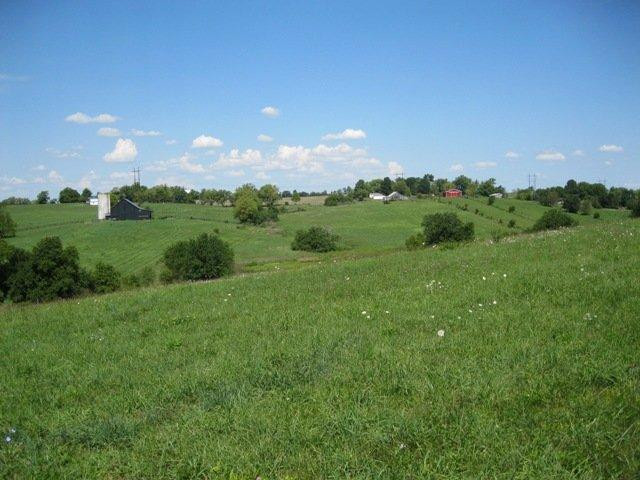 319 White Turley Road Mount Sterling, KY 40353 - Photo 13 of 17 Photo 13