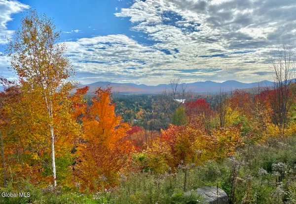 $149,999 | L9.000 L9.000 Palisade Parkway, Saranac Lake, NY 12983