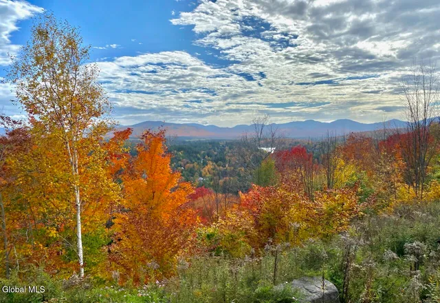 $149,999 | L9.000 L9.000 Palisade Parkway, Saranac Lake, NY 12983