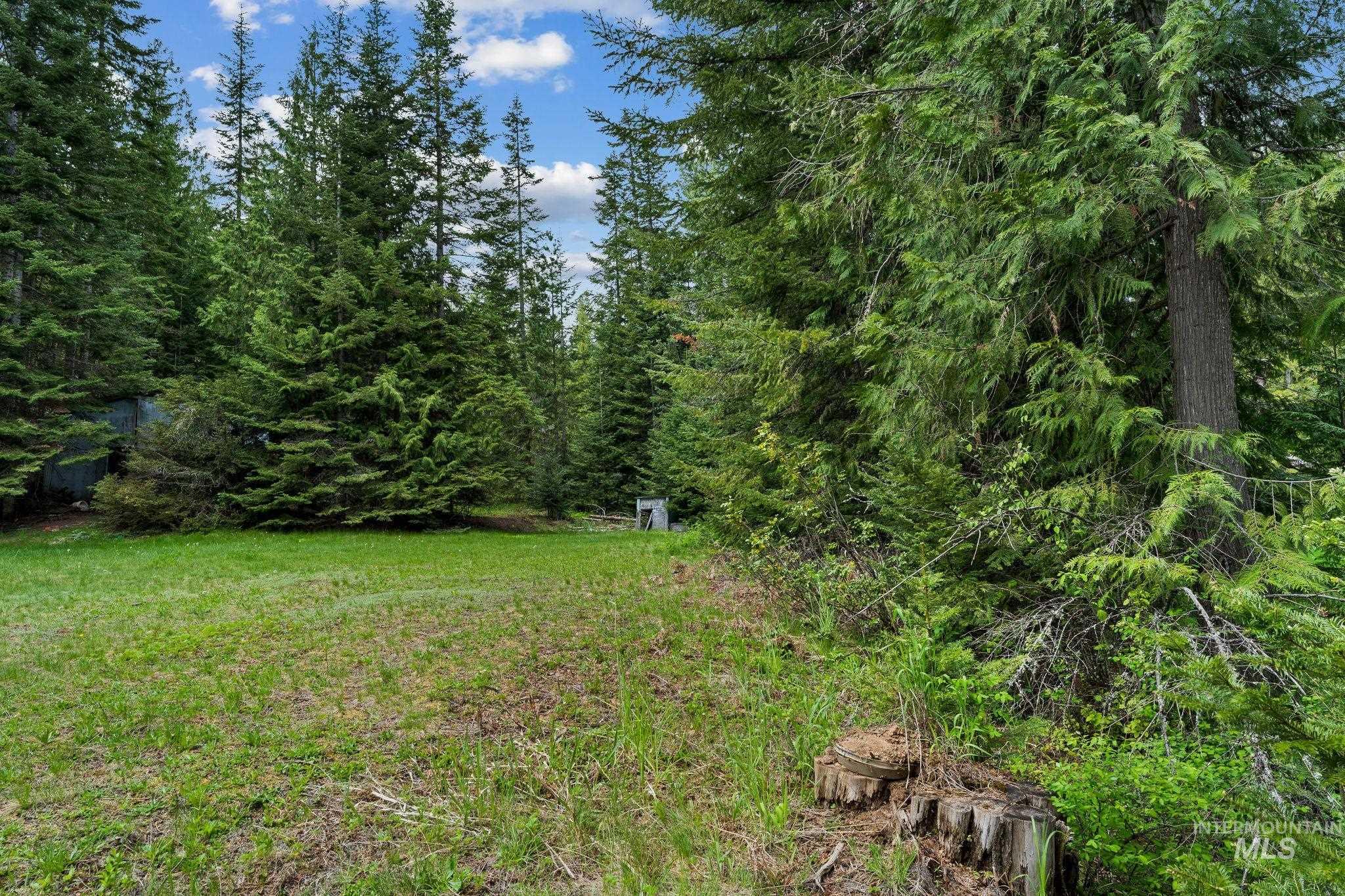 4715 Freeman Creek Road Lenore, ID 83541 - Photo 36 of 50
