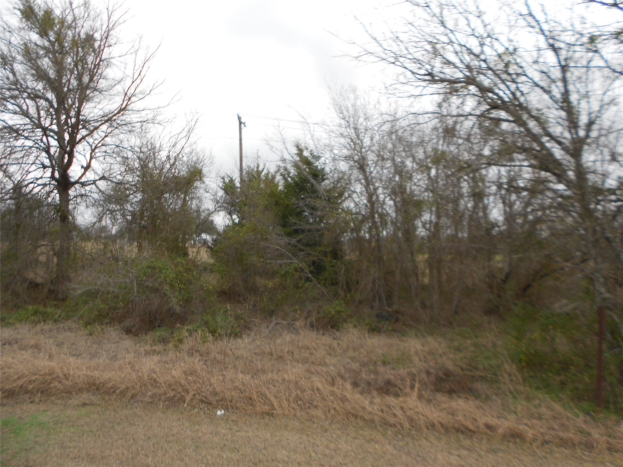 6612 Williamson Road Buda, TX 78610 - Photo 3 of 11 a view of a yard with trees