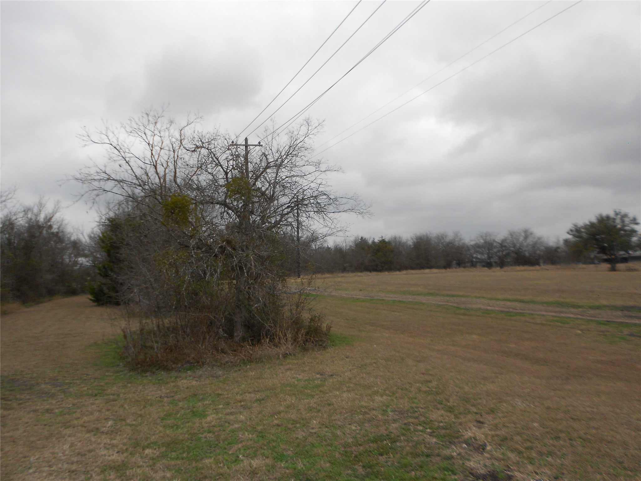 6612 Williamson Road Buda, TX 78610 - Photo 6 of 11