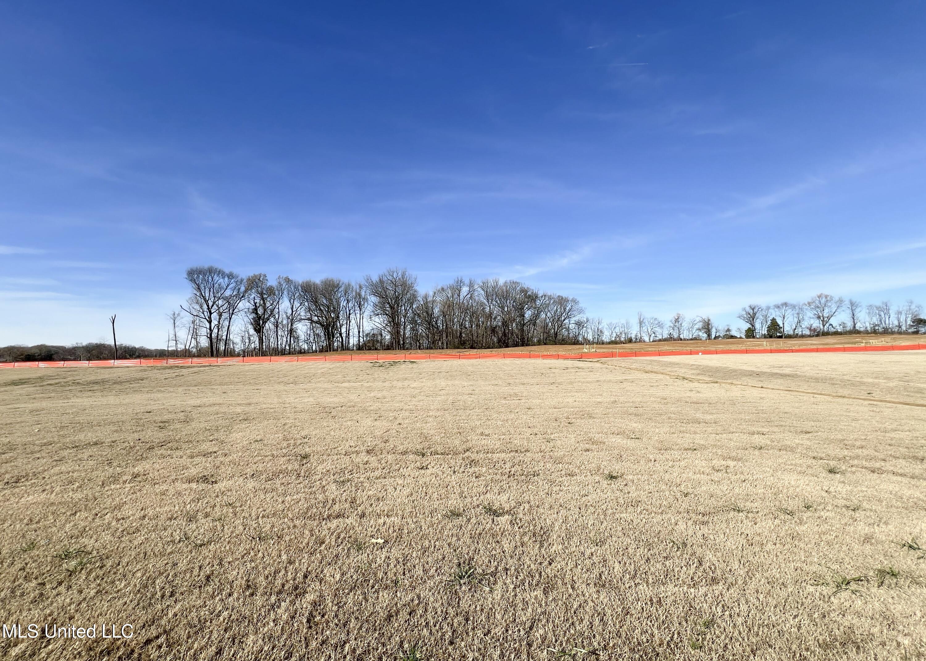 2499 Scott Mdws Lane Hernando, MS 38632 - Photo 2 of 23 IMG_5268