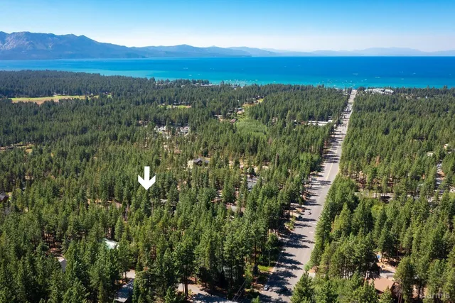 a view of a city with lush green forest