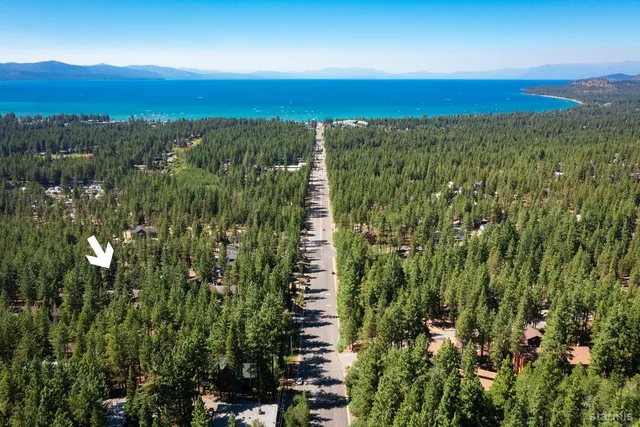 a view of a city with lush green forest
