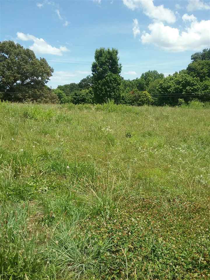 Tbd Bethel Road Atoka, TN 38004 - Photo 3 of 7 Gallery Image 3