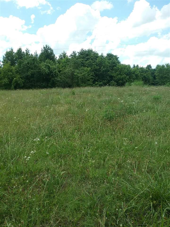 Tbd Bethel Road Atoka, TN 38004 - Photo 5 of 7 Gallery Image 5