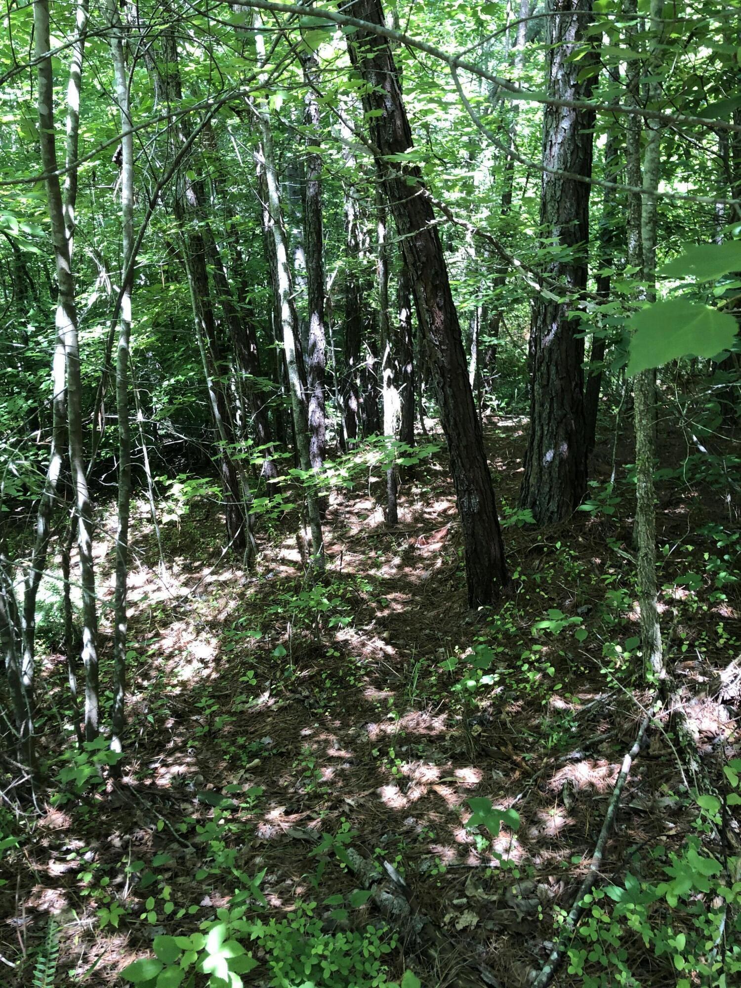 184 County Road Athens, TN 37303 - Photo 28 of 28 641E17BB-94EA-4A7A-AB5B-9F99852A2459