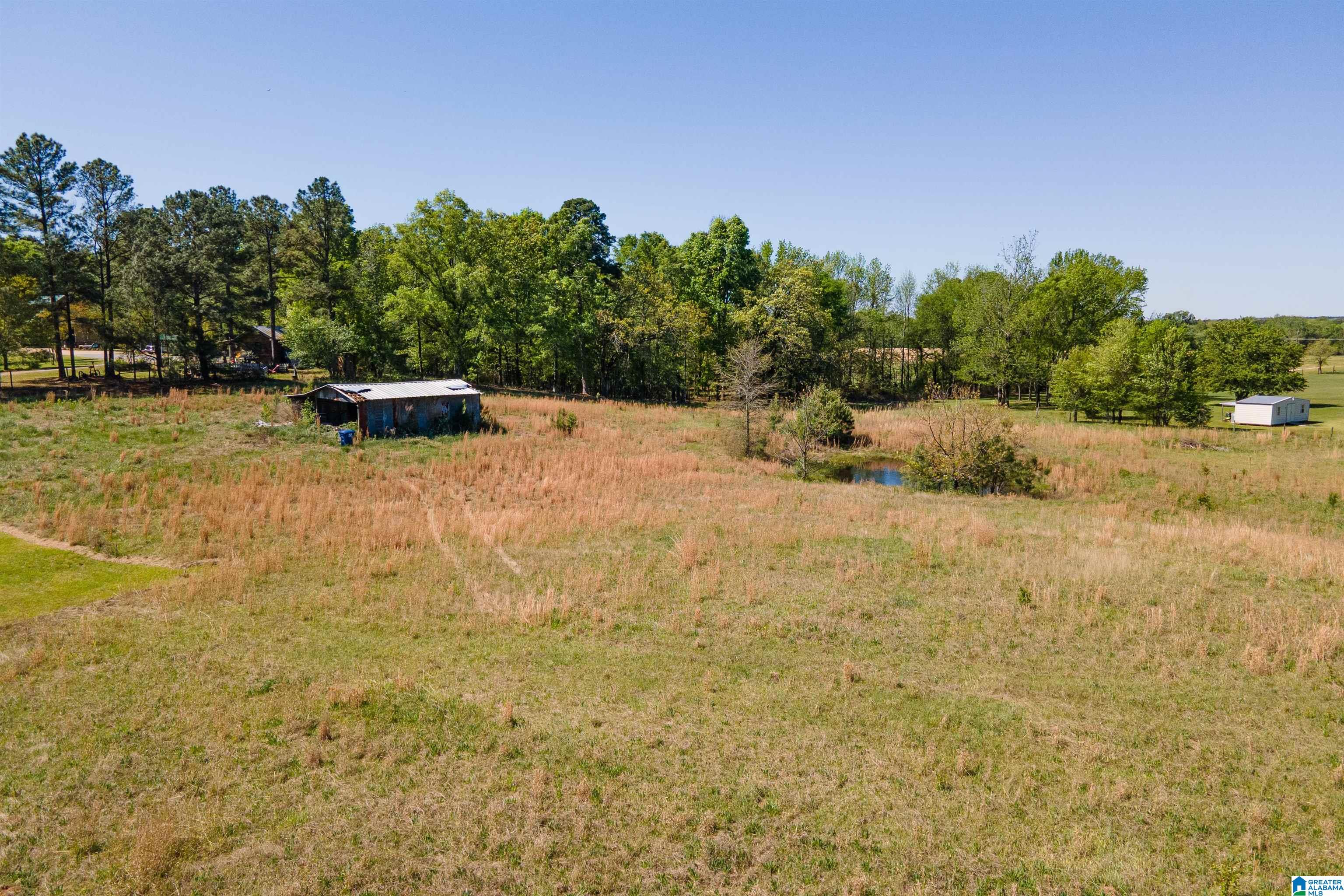 0 Sun Valley Road Harpersville, AL 35078 - Photo 5 of 24